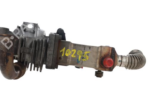 Egr für RENAULT SCÉNIC II (JM0/1_) [2003-2010]  30865914