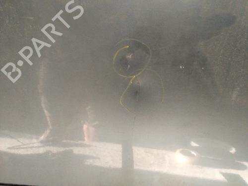 Right front door NISSAN X-TRAIL I (T30) 2.2 DCi FWD | BP19519129C3 