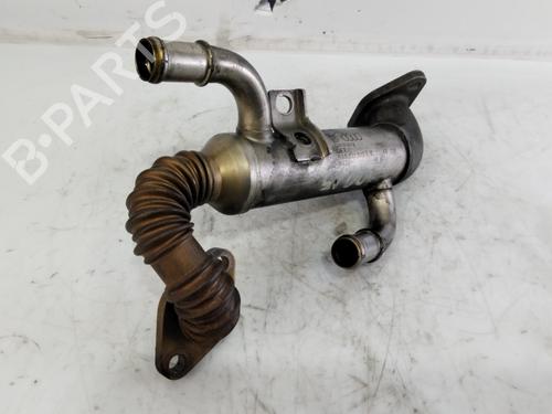 Used Egr SEAT CORDOBA (6L2) 1.4 TDI (70 hp) 29850754