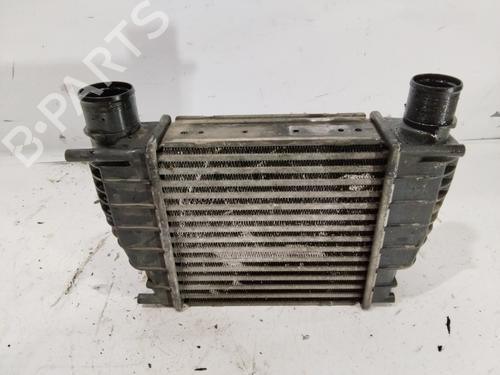 Intercooler RENAULT CLIO III (BR0/1, CR0/1) 1.5 dCi (BR17, CR17) | BP33686922M30 - Image 3