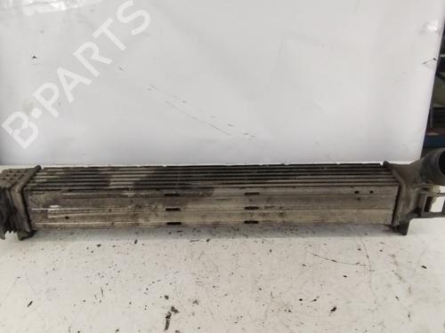 Intercooler Intercooler RENAULT SCÉNIC III (JZ0/1_) [2008-2016] 33817953 33817953