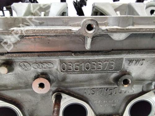 Cylinder head VW TOURAN (1T1, 1T2)  | BP31696519M5 
