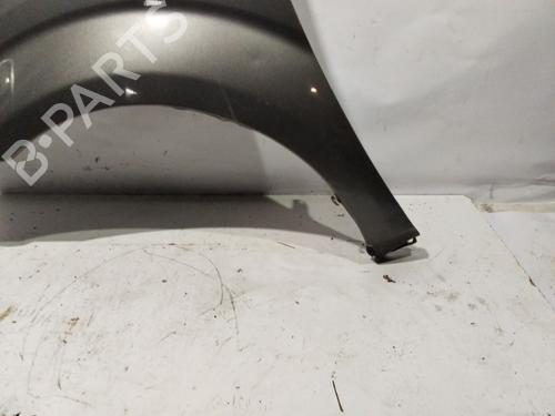 Left front fenders TOYOTA COROLLA Verso (ZER_, ZZE12_, R1_) 2.2 D-4D (AUR10_, AUR10R) | BP30138419C41 