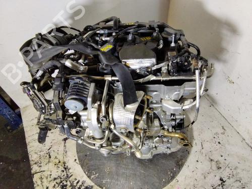 Engine HYUNDAI i20 III (BC3, BI3)  | BP36294591M1  - Image 7
