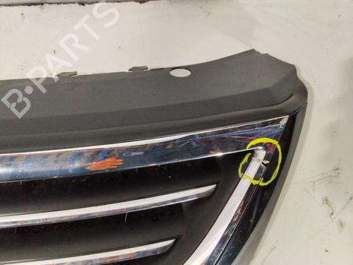 Grille VW PASSAT CC B6 (357)  | BP32014534C40 