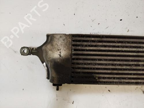 Intercooler NISSAN QASHQAI I (J10, NJ10)  | BP29634769M30 