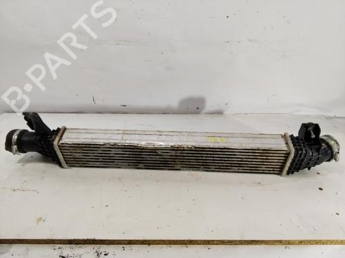 Intercooler BYD SEAL EV (313 hp) 32461436