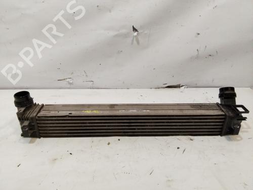 Intercooler RENAULT MEGANE III Hatchback (BZ0/1_, B3_) 1.2 TCe (BZ16, BZ28) | BP29464161M30 