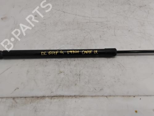 Hood lift support VW GOLF V (1K1)  | BP29565605C139 