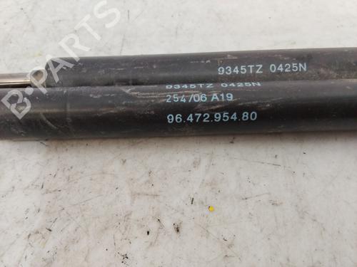 Tailgate lift support CITROËN C4 I (LC_)  | BP24665796C138 
