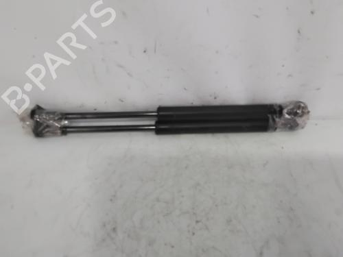 Hood lift support BMW 5 (E60)  | BP29589593C139 