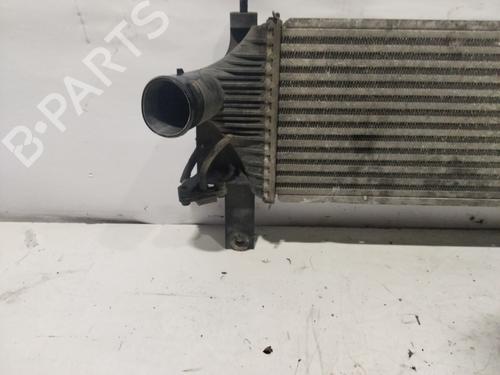 Intercooler NISSAN NAVARA NP300 (D40) 2.5 dCi 4WD (D40TT, D40T, D40M, D40BB) | BP30290876M30