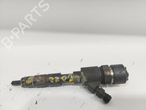 Used Injector RENAULT MEGANE II (BM0/1_, CM0/1_) 1.9 dCi (131 hp) 22648342
