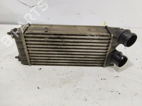 Intercooler CITROËN C4 II (NC_) [2009-2025]  30979034
