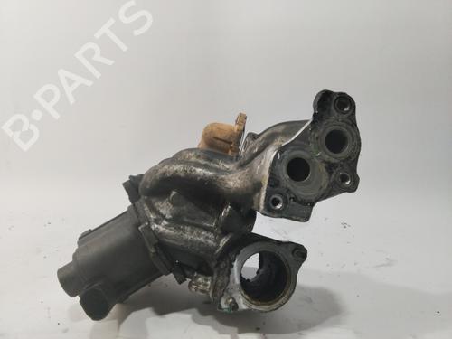 Egr RENAULT SCÉNIC II (JM0/1_)  | BP25051029M69 