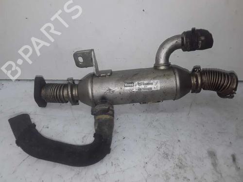 Used Egr CITROËN XSARA (N1) 2.0 HDi 90 (90 hp) 14053474