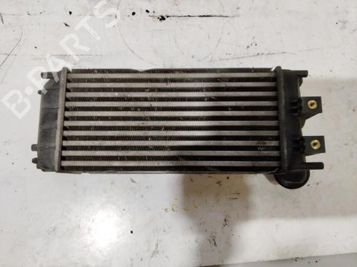 Intercooler PEUGEOT 308 I (4A_, 4C_) | BP30661653M30
