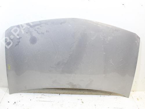 Used Hood RENAULT MEGANE II (BM0/1_, CM0/1_) 1.5 dCi (BM1F, CM1F) (86 hp) 17322980