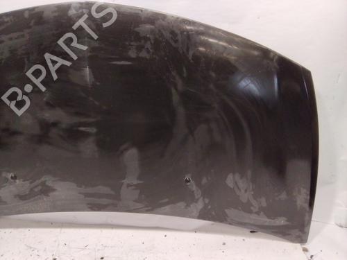 Hood RENAULT CLIO III (BR0/1, CR0/1)  | BP28085979C1 
