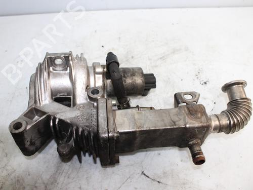 Egr RENAULT GRAND SCÉNIC II (JM0/1_) 1.9 dCi (JM0G, JM12, JM1G, JM2C) | BP17754290M69 