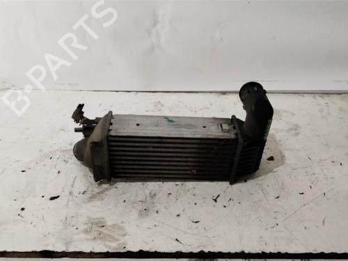 Used Intercooler Intercooler CITROËN C5 I (DC_) 2.0 HDi (DCRHZB, DCRHZE) (109 hp) 39074009 39074009