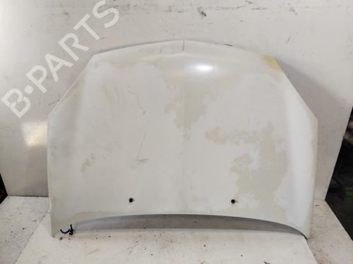 Hood RENAULT CLIO III (BR0/1, CR0/1)  | BP19804579C1 