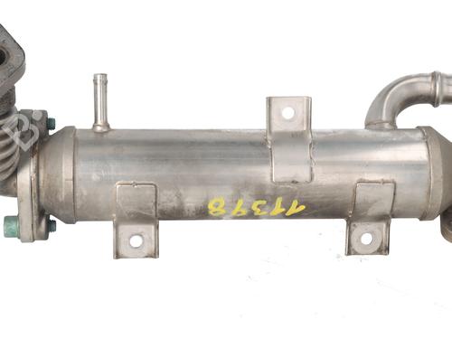 Used Egr Egr 36813734 36813734