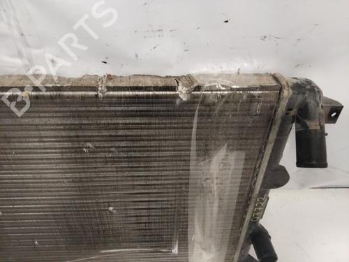 Radiateur à eau RENAULT MASTER II Van (FD) 2.5 dCi (120 hp) 24195109