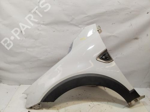 Left front fenders CHEVROLET CAPTIVA (C100, C140) 2.0 D | BP29464198C41 