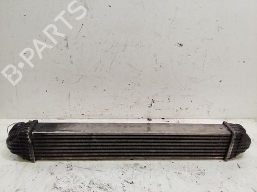 Intercooler MERCEDES-BENZ A-CLASS (W169) A 180 CDI (169.007, 169.307) (109 hp) 17968794