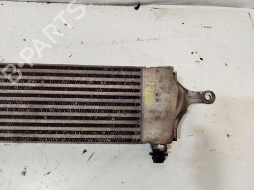 Intercooler NISSAN QASHQAI I (J10, NJ10)  | BP29634769M30 