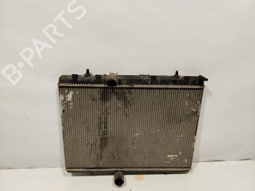 Water radiator PEUGEOT 3008 I MPV (0U_) | BP28414314M31