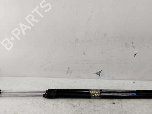 BP32323464C138 main image