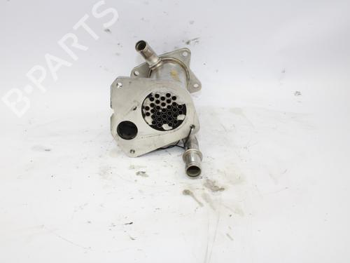 Egr RENAULT CLIO IV (BH_)  | BP13392726M69 