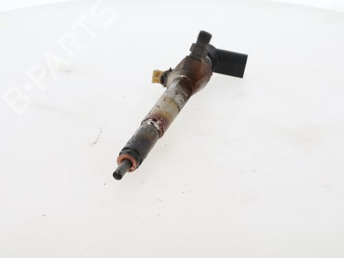 Injector RENAULT SCÉNIC II (JM0/1_)  | BP29616905M100