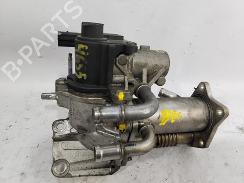 Egr RENAULT CLIO IV (BH_)  | BP27529616M69