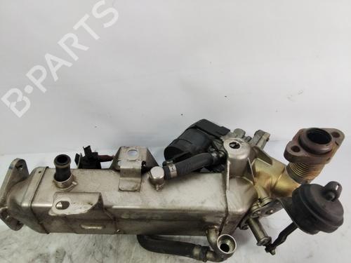 Egr BMW 3 (E36)  | BP23146475M69 