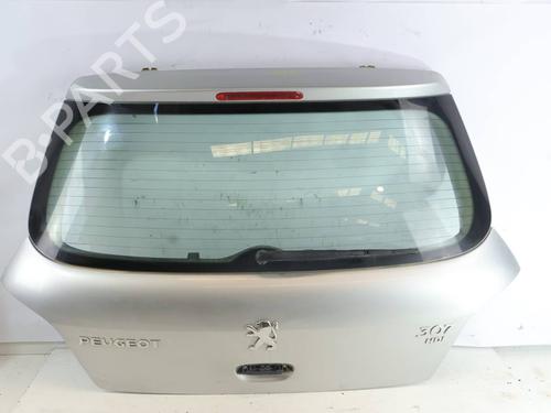 Altro Altro PEUGEOT 307 (3A/C) [2000-2012] 39889635 39889635
