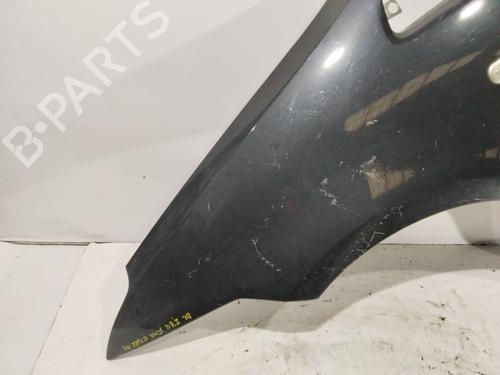 Left front fenders FORD C-MAX (DM2)  | BP31113961C41 