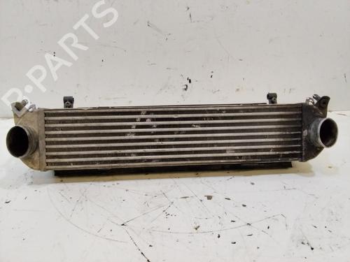 Intercooler LAND ROVER DISCOVERY III (L319) 2.7 TD 4x4 | BP17484850M30 