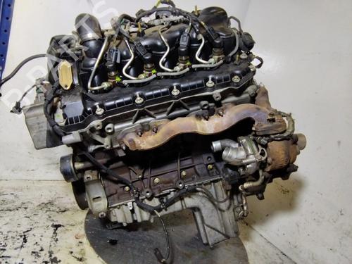 Used Engine Engine 38084505 38084505