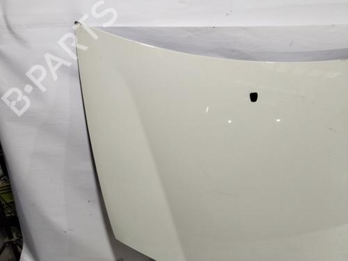 Hood FIAT BRAVO I (182_) | BP30841023C1