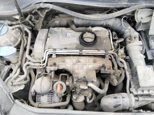- Image 7