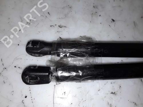Tailgate lift support SEAT IBIZA II (6K1)  | BP14053891C138 