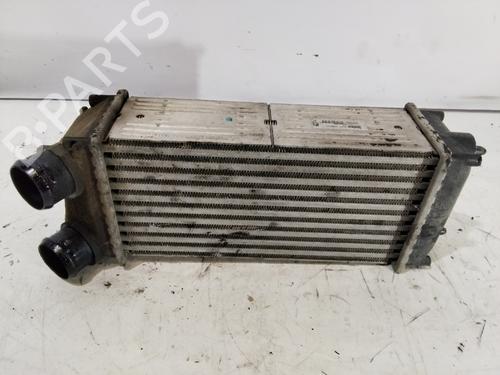 Used Intercooler Intercooler CITROËN C4 Picasso I MPV (UD_) [2006-2015] 35754157 35754157