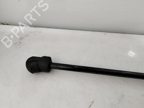 Hood lift support AUDI A3 Sportback (8YA, 8YF) 35 TFSI | BP32327956C139