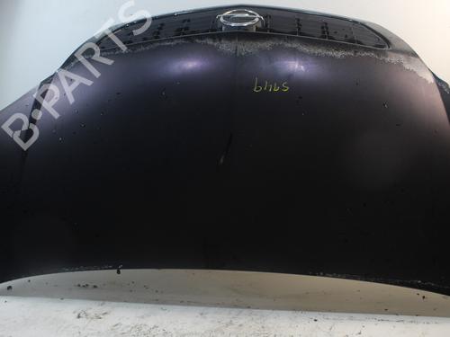 Hood OPEL MERIVA A MPV (X03) 1.7 CDTI (E75) | BP16907158C1 