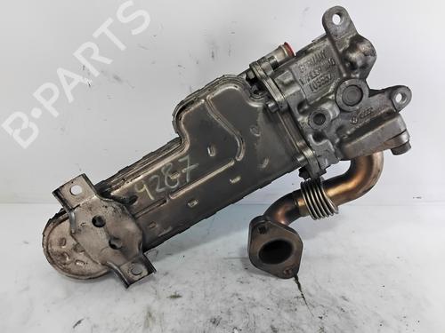Egr VW PASSAT B6 (3C2)  | BP29831031M69