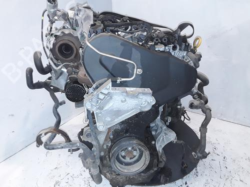 Engine VW GOLF VII (5G1, BQ1, BE1, BE2) 2.0 TDI | BP16749795M1 