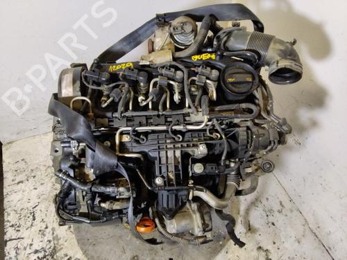Engine VW GOLF PLUS V (5M1, 521) | BP37434516M1 - Image 12